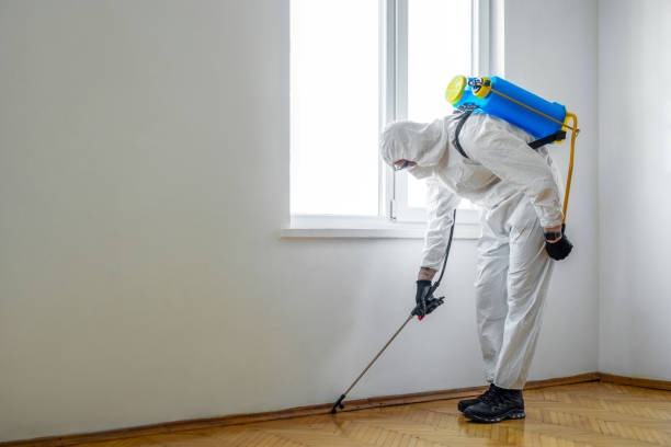 Real Estate Pest Inspections in East Atlantic Beach, NY